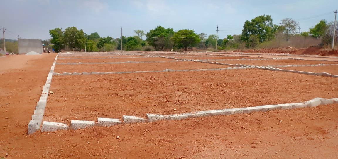 WhatsApp-Image-2023-09-08-at-3.26.24-PM-1